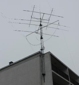 ant-2.jpg