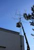 mast-1_t1.jpg